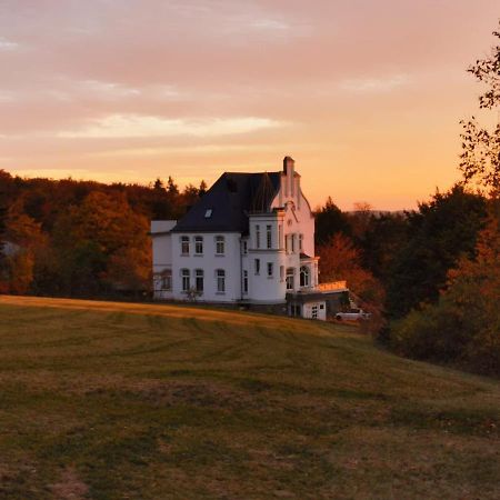 Weissevilla Friedrichsbrunn Fewo Solide Thale Esterno foto